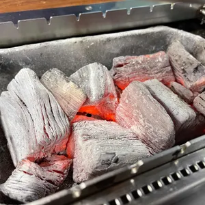 호우양꼬치 사진