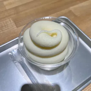 식물학 사진