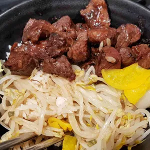 홍대개미 사진