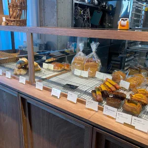 아눅 사월 사진