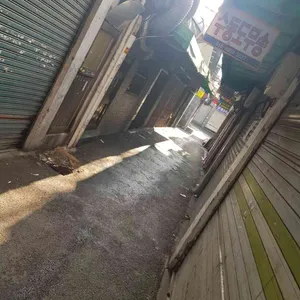 클래직 리뷰 사진