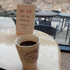 개울가에핀야생화 사진
