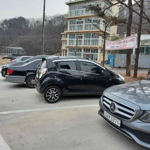 개울가에핀야생화 리뷰 사진