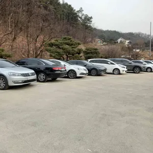 개울가에핀야생화 리뷰 사진