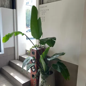 거루캥테이블 리뷰 사진