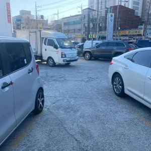 순해집손칼국수 리뷰 사진