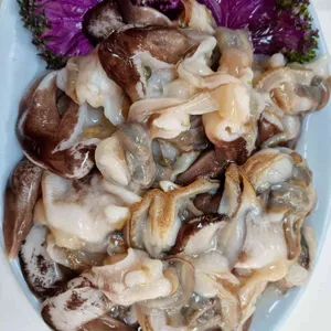 온누리회수산 사진