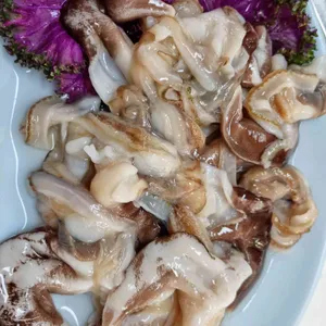 온누리회수산 사진