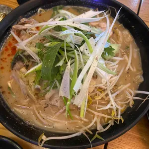 마츠노키 사진