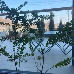 커피명가 루체215 리뷰 사진