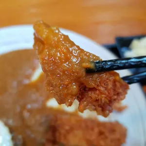 손짱카레 사진