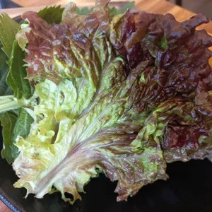 춘천명가닭갈비 대표 사진