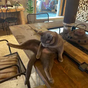 헛간 더반스위트 리뷰 사진