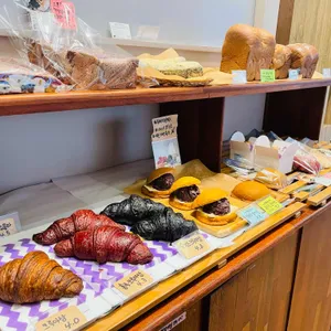 꽃피는 4월 밀익는 5월 사진