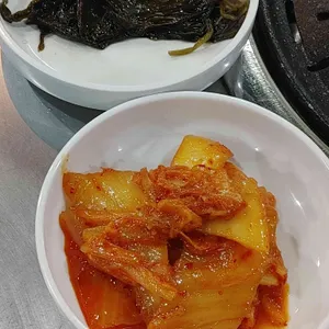 공원갈매기 사진