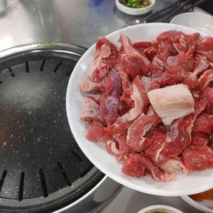 공원갈매기 사진