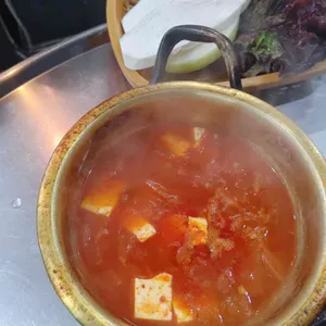 공원갈매기 사진