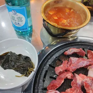 공원갈매기 사진