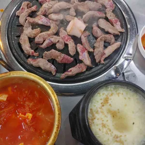 공원갈매기 사진