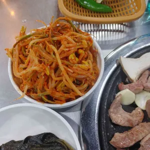 공원갈매기 사진