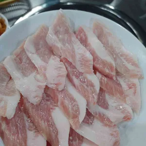 공원갈매기 사진