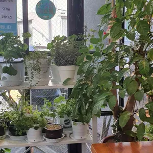 카페메르 사진