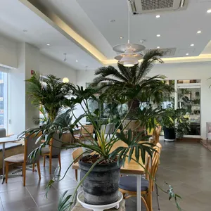 라 스칼라 리뷰 사진