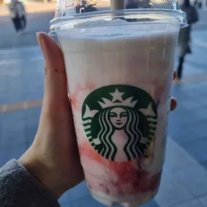 스타벅스 사진