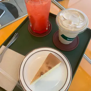 모드니 사진