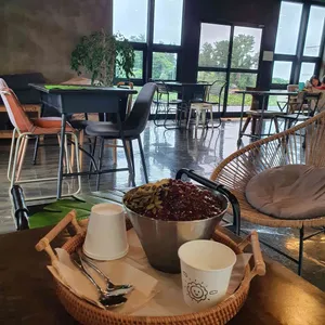 플라이오조 리뷰 사진