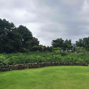 플라이오조 리뷰 사진