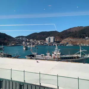 삼삼해물 리뷰 사진