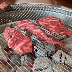 고기9단 사진