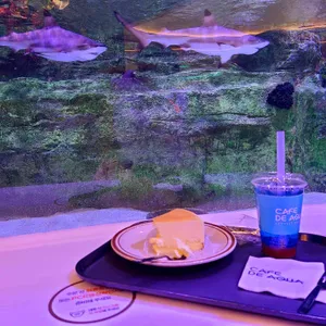 카페 드 아쿠아 사진