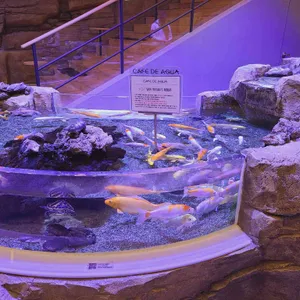 카페 드 아쿠아 리뷰 사진