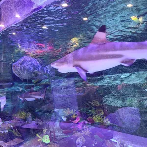 카페 드 아쿠아 리뷰 사진