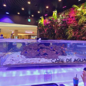 카페 드 아쿠아 리뷰 사진