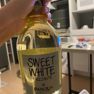 포도 사진