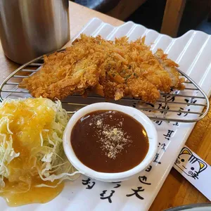 네코짱 사진