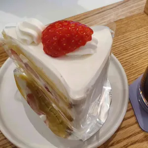 자유정거장 사진