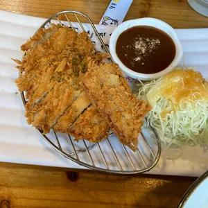 네코짱 사진