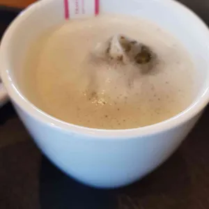 스타벅스 사진