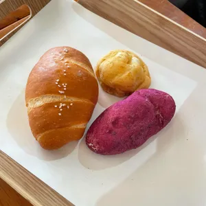 베이콜로지 빵학개론 샹그리나 사진