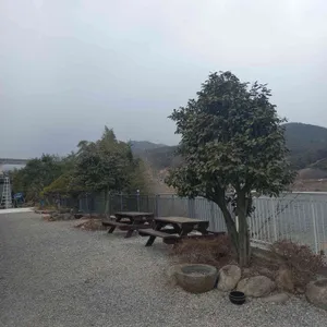 고향산천 리뷰 사진