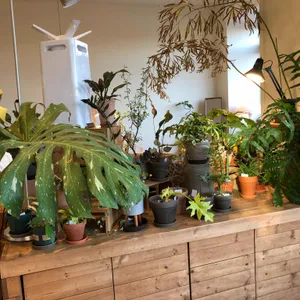 그린루프스 리뷰 사진