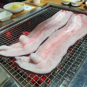 풍천민물장어 사진
