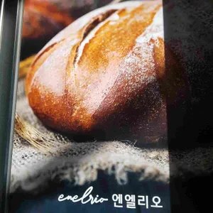 엔엘리오 리뷰 사진