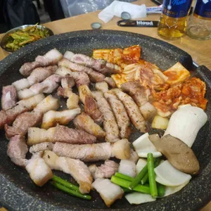 제주꽃돼지 사진
