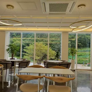 스텝온더그라운드 리뷰 사진