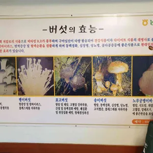 버섯마을 리뷰 사진